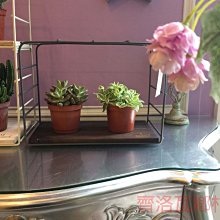 《齊洛瓦鄉村風雜貨》日本zakka雜貨 日本法國製純棉製抹布 擦拭布 廚房用抹布 手工純棉製抹布 餐墊 小墊子 歷史價格詳細信息