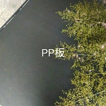 120x45公分塑膠PP墊板【H01264】PP板/層架配件/鐵架 歷史價格詳細信息