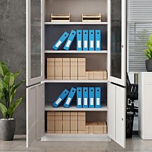 鐵皮文件櫃辦公室資料櫃財務憑證檔案櫃員工更 櫃儲物櫃矮櫃櫃子 歷史價格詳細信息