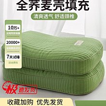 枕頭全蕎麥殼枕頭單人田園風純棉蕎麥皮枕頭芯成人護頸椎枕家用 歷史價格詳細信息