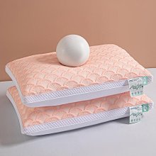 枕頭夏季涼感冰絲卡通嬰幼兒童枕學生低枕頭幼兒園枕芯 歷史價格詳細信息