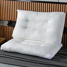 枕頭夏季枕芯一對裝家用枕頭不塌陷雙人整頭學生單人男 歷史價格詳細信息