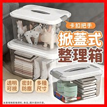 貓小姐Rose~透明刺繡性感丁字褲無痕女士透視火辣夏歐美網紗女式褲三角褲女性內褲性感內褲情趣內褲 歷史價格詳細信息