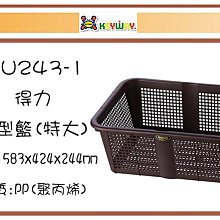 (即急集)購10個免運不含偏遠 聯府BW10 10L高圓萬用盆/臉盆/塑膠盆/清潔用具/清洗用具 歷史價格詳細信息