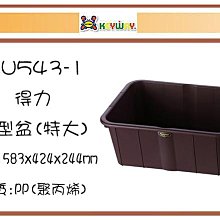 (即急集)購10個免運不含偏遠 聯府BW10 10L高圓萬用盆/臉盆/塑膠盆/清潔用具/清洗用具 歷史價格詳細信息