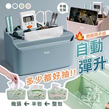 面紙盒彈簧托_630-FTS00S 歷史價格詳細信息