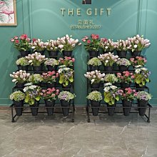 萬花筒階梯稜鏡 光學透鏡 成像投影聚光 舞檯燈具光學鏡片凸透鏡 歷史價格詳細信息