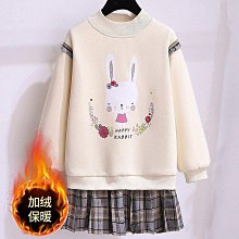 小洋裝 女童洋裝 女孩 連身裙 女寶 裙子 女童洋裝秋冬新款女寶寶刷毛保暖中大童洋氣時尚甜美假兩件裙子 價格比較,價格查詢,歷史價格詳細信息