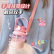 可攜式大容量斜挎手提兩用輕薄環保購物袋 尼龍摺疊旅行收納皮膚包 歷史價格詳細信息