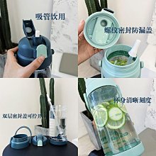 水壺 水杯  水杯女大號超大容量耐高溫水壺塑料水瓶吸管便攜防摔雙飲太空杯子    全臺最 歷史價格詳細信息