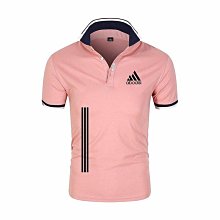 男款Polo 健身 運動 透氣 休閒 翻領短袖 POLO衫 排汗材質 短袖POLO衫 短袖T恤 Polo 4808-22號穿搭 歷史價格詳細信息