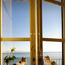 草帽女春夏赫本風優雅復古防紫外線草編盆帽出游度假太陽帽 歷史價格詳細信息