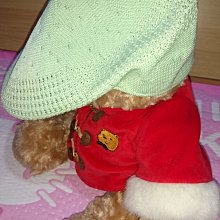 KANGOL 小字串 拼接 短T【62251002】時尚 短袖 撞色 莫蘭迪色 歷史價格詳細信息