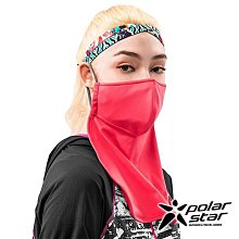 Polarstar 防塵快乾銀纖維口罩『黑』P22511 歷史價格詳細信息
