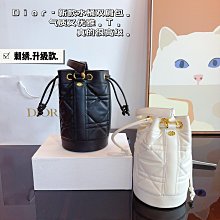 『瑤瑤代購』DI*R 小方包 最新款 頂級貨 原單大牌 復古通勤旅行包郵差包單肩斜挎包潮包42HJ495 歷史價格詳細信息