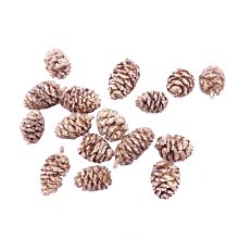 聖誕節迷你曼陀珠(公版貼紙100條入)-來店禮/生日分享/創意糖果/聖誕節活動/節慶活動 歷史價格詳細信息