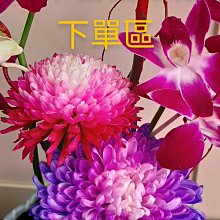 櫻桃寶宮  三月誕生石 天然海藍寶 星光閃 可調式戒圍 戒指生命靈數5 歷史價格詳細信息