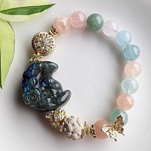 摩根財團  美國壹代銀行王朝和現代金融業的崛起  1838-19 歷史價格詳細信息