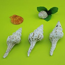 魚缸旋轉出水口360度旋轉造浪噴頭亂流出水鴨嘴底缸雨淋自轉接頭~告白氣球 歷史價格詳細信息
