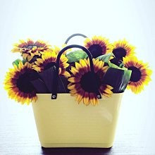 超市購物籃手提買菜籃子可摺疊日式收納籃戶外野餐籃超市塑料籃子 歷史價格詳細信息