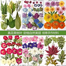 樹葉標本冷裱膜自粘高光/啞光相片塑封膜過塑膜塑封A4自封膜A3塑封紙照片A6保護膜過膠膜覆膜紙6寸植物亞光膜淺語微微笑 歷史價格詳細信息