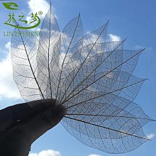 樹葉標本冷裱膜自粘高光/啞光相片塑封膜過塑膜塑封A4自封膜A3塑封紙照片A6保護膜過膠膜覆膜紙6寸植物亞光膜淺語微微笑 歷史價格詳細信息