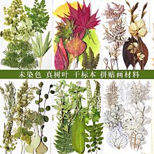 樹葉標本冷裱膜自粘高光/啞光相片塑封膜過塑膜塑封A4自封膜A3塑封紙照片A6保護膜過膠膜覆膜紙6寸植物亞光膜淺語微微笑 歷史價格詳細信息