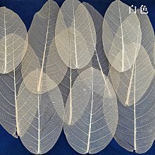 樹葉標本冷裱膜自粘高光/啞光相片塑封膜過塑膜塑封A4自封膜A3塑封紙照片A6保護膜過膠膜覆膜紙6寸植物亞光膜淺語微微笑 歷史價格詳細信息