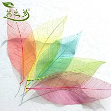 樹葉標本冷裱膜自粘高光/啞光相片塑封膜過塑膜塑封A4自封膜A3塑封紙照片A6保護膜過膠膜覆膜紙6寸植物亞光膜淺語微微笑 歷史價格詳細信息