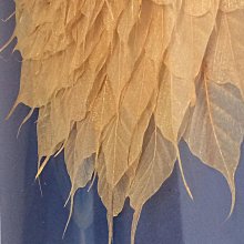 樹葉標本冷裱膜自粘高光/啞光相片塑封膜過塑膜塑封A4自封膜A3塑封紙照片A6保護膜過膠膜覆膜紙6寸植物亞光膜淺語微微笑 歷史價格詳細信息