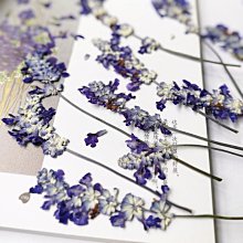 花鶯性感吊帶耶誕裝愛心洋裝制服誘惑純欲超短裙情趣套裝女5475-星飛優選 歷史價格詳細信息