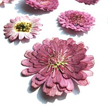 黑色特種水泥鋼釘 高硬度水泥釘混凝土專用特種鋼釘工程用釘子 歷史價格詳細信息