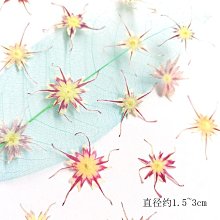 【福利標本】【新手學習必入】清中期青花手繪  靈芝紋 大碗 -15290 歷史價格詳細信息