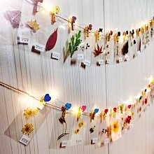 樹葉標本冷裱膜自粘高光/啞光相片塑封膜過塑膜塑封A4自封膜A3塑封紙照片A6保護膜過膠膜覆膜紙6寸植物亞光膜淺語微微笑 歷史價格詳細信息