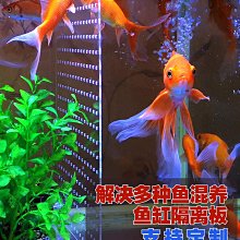 亞克力隔離盒曬台烏龜草龜巴西龜曬爬台魚缸整理箱浮島伸縮掛鉤台北有個家 歷史價格詳細信息