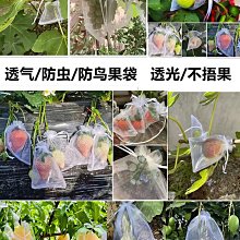 水果防護網墊蔬菜泡沫墊珍珠棉網墊塑料筐專用網墊防震防磕碰 歷史價格詳細信息