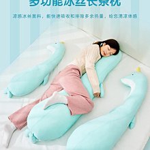 【冰絲夾腿長抱枕】 孕婦側睡  涼感  可拆洗  成人長條枕  夏季款 歷史價格詳細信息