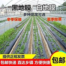 黑膜LCD屏 16x2字元點陣小尺寸模組 1602工業級 晶顯示幕幕 直銷 MZ1202 歷史價格詳細信息