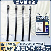 愛爾蘭哨笛初學者入門金屬笛子6孔C調D調高低音直笛課堂豎笛樂器 歷史價格詳細信息