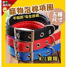 狗脖圈狗狗項圈寵物中大型犬金毛柴犬拉布拉多大型犬頸圈狗圈脖 歷史價格詳細信息