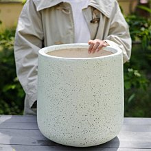 綠植盆簡約白色陶瓷盆肉肉園藝花器XDY超夯 正品 活動 優惠 歷史價格詳細信息