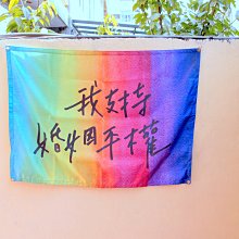 【平權 】彩虹旗 lgbt 超大彩虹旗 150cm*90cm 同志 遊行 婚姻平權！gay 支持同志連署婚姻平權 歷史價格詳細信息