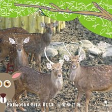 【梅花三鹿】限量商品 二手空機 宏達國際電子 HTC 蝴蝶機 (黑) 歷史價格詳細信息