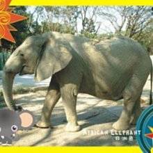 台灣 ZOO 拋棄式兒童指甲油 醬醬甜點系列(5款可選) 歷史價格詳細信息