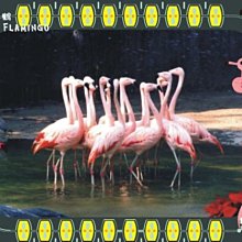 智利復活島 神秘摩艾石像 刺繡貼布 電繡貼 背膠補丁 刺繡士氣章 貼章 補丁貼 燙布貼 徽章 歷史價格詳細信息