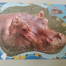 台灣 ZOO 拋棄式兒童指甲油 醬醬甜點系列(5款可選) 歷史價格詳細信息
