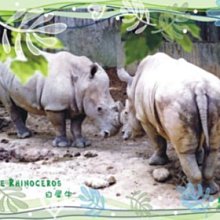 台灣 ZOO 拋棄式兒童指甲油 醬醬甜點系列(5款可選) 歷史價格詳細信息
