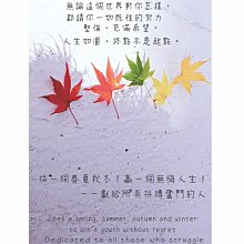 一起拼個巴黎圣母院!3D立體金屬拼圖DIY手工制作益智拼裝模型玩具 歷史價格詳細信息