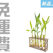 台灣文創 小玉米花 Little Popcorn 插畫 精緻燙金 明信片 12款/套組 質感 手繪插畫 明信片 歷史價格詳細信息