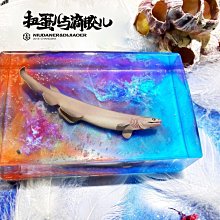 -~shirley 水晶~夢幻骨幹水晶~435公克~雙尖綠色亮皮稀有~主正財~低價起標! 歷史價格詳細信息